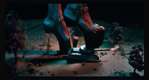 Hoplophilia (Firearms)